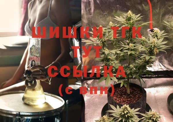 гашик Балахна